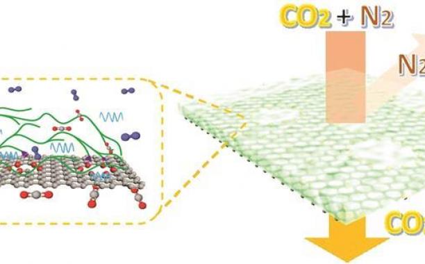 Source: © Kumar Agrawal/EPFL  Scientists have made polymer-functionalised single-layer graphene membranes that surpass the postcombustion carbon capture target