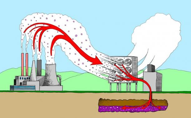 Proposed Carbon Capture Projects Run The Gamut From All-Natural To Heavy Industrial