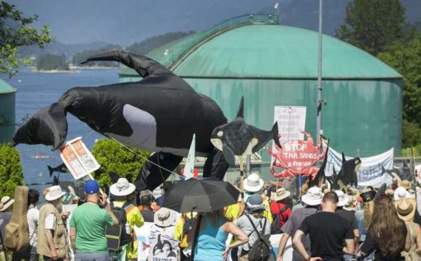 Hundreds of activists rally to finish a 75-kilometre march to the gates of Kinder Morgan during an anti-pipeline walk in Burnaby on May 28. ARLEN REDEKOP / PNG